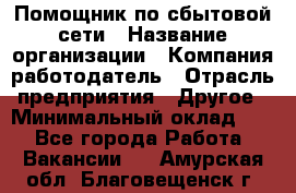 Помощник по сбытовой сети › Название организации ­ Компания-работодатель › Отрасль предприятия ­ Другое › Минимальный оклад ­ 1 - Все города Работа » Вакансии   . Амурская обл.,Благовещенск г.